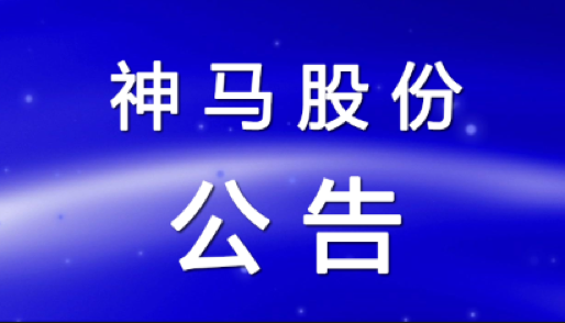 神马股份拟引资12亿做大尼龙产业