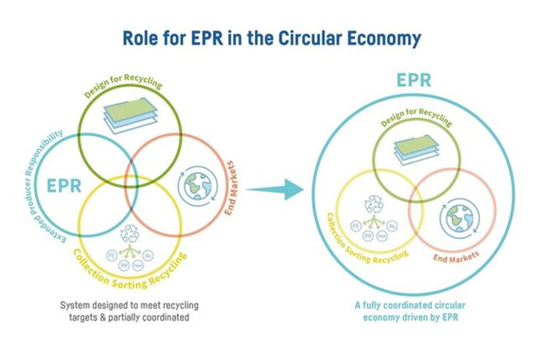 Ceflex 首次公开软包装 EPR 循环经济标准条件