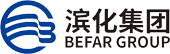 滨化集团